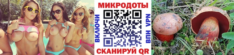 Галлюциногенные грибы Cubensis  Инсар 